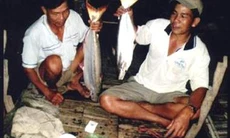 Nghề săn cá bông lau trên sông Hậu